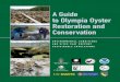 A Guide to Olympia Oyster Restoration and Conservationlibrary.elkhornslough.org/attachments/Wasson_2015_A... · 2016-01-11 · Olympia oysters range from Central Baja California,