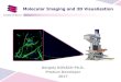 Molecular Imaging and 3D Visualisation€¦ · • Widefield Fluorescent ... Laser scanning Confocal Spinning disc Pannoramic Confocal Scanning Speed Slow, 2-3 sec / image Very fast