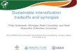 Sustainable intensification tradeoffs and synergiesSustainable intensification tradeoffs and synergies Philip Grabowski (Michigan State University) and Mark Musumba (Columbia University)