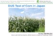 Training Course for Distinctness, Uniformity and Stability ... 12_DUS Test of Cor… · Training Course for Distinctness, Uniformity and Stability test of Corn, Vung Tau, Viet Nam,