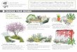 Native Landscape Planting Guide · Lance Leaf Dudleya / Dudleya lanceolata Fingertips / Dudleya edulis 3' 10' 3' 4' 2’ 8’ N Y Y Y N N Y Deer Grass / Muhlenbergia rigens Thin Bent