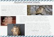 A Raptor Trust Story & Workbook Great Horned Owls A Raptor Trust Story & Workbook Great horned owls