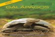 GALÁPAGOS · cruise around islands teeming with birdlife. You’ll travel aboard the National Geographic Endeavour II, a newly refitted expedition ship equipped with a suite of cool