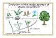 Land Plants fall into two major groups - Miami …meicenrd/BOT155/PowerPointsRDM...Non-Vascular Plants • Lack vascular tissue • Very small • Known as the bryophytes The Bryophytes