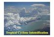 Tropical Cyclone Intensificationroger/TCLecs/...Anthes (Rev. Geophys. 1974): The dynamics and energetics of mature tropical cyclones. For a tropical cyclone to achieve a steady state,