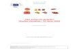 THE TOMATO REPORT Market situation - 23 June …...DG AGRI.G2 - F&V - 2020 WORKING DOCUMENT THE TOMATO REPORT Market situation - 23 June 2020-----Contact point: AGRI-HORT-IMPORT@ec.europa.eu-----Exclusion