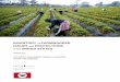 FARMWORKER PROTECTIONS · 2016-06-01 · ACKNOWLEDGMENTS The Inventory of Farmworker Issues and Protections in the United States is dedicated with deep appreciation to the farmworkers