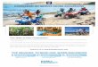COMMISSION ON GROUPS SHORE EXCURSIONS1. Earn 10% commission on your clients’ groups shore excursions when you book through our Groups Shore Excursions team. 2. Earn 5% referral fee