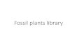 Fossil plants library - WikiEducatorwikieducator.org/images/2/2a/Fossil_Paleoflora-library.pdf · 2019-07-05 · Europe and North America. Even though Calamites was tree-like in height,