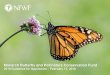 Monarch Butterfly and Pollinators Conservation Fund ... Monarch Butterfly and Pollinators Conservation
