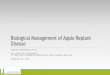Biological Management of Apple Replant Diseasefruit/treefruit/tf_meetings/16ARDpresentation.pdfwith use Abawi, G. S. (1981). "Controlling replant diseases of pome "Controlling replant