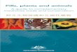 Pills, Plants and Animals - A guide to complementary ... · Pills, plants and animals. A guide to complementary medicines trade and conservation. 2 3 ... include lesser known species