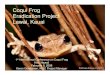 Coqui Frog Eradication Project Lawai, Kauai to Kauai • Early Efforts • Current Efforts • Electronic Monitoring • Project status/projections • Needs REX. Kauai coqui frog