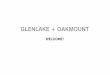 GLENLAKE + OAKMOUNT · 2017-11-15 · GLENLAKE + OAKMOUNT. 18 The Potential to Improve the Block, Building and Open Space Pattern Existing and Potential Infill Buildings to Better