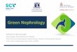 Green Nephrology - 55th ANZSN ASM 2020 - 55th ANZSN ASM 2020 · 2017-12-19 · SPECIAL INTEREST GROUP (ESSIG) Established Nov 2015 Reports to the VRCN in the DHHS Aim • To improve