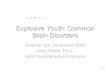 Explosive Youth: Common Brain Disorders - Juvenile Law · 2017-06-20 · Brain Disorders Juvenile Law Conference 2005 Larry Fisher, Ph.D. UHS Neurobehavioral Systems. ... Predatory,
