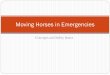 Moving Horses in Emergencies - whmentors.org · MOVING HORSES INTO THE TRAP. (In this sequence, a partial “Navajo Circle” picket line of responders forms an arc and quietly moves