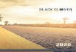 Klintrade...Leather Patch/HD Ink | White/Grey Hat MSRP: €31.00 | Snapback UPC: 093674350823 | SKU: BC0IS00551 16. SHARP LUCK 2 Black Leather Patch | Black Hat MSRP: €32.00 | Fitted