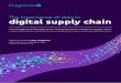 The importance of data in digital supply chain€¦ · by supply chain leaders. It is clear that so much value is yet to be created by properly industrializing the gathering and analysis