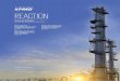 REACTION Magazine Twenty-second edition€¦ · 1 In today’s global economy, the ‘new normal’ means different things to different businesses in different regions. For chemical