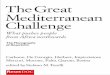The Great Mediterranean Challenge...The Monographs of ResetDOC is an editorial series published by Reset-Dialogues on Civilizations, an international association chaired by Giancarlo