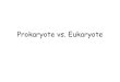Prokaryote vs. Eukaryote - Ms. Simpson's class site€¦ · Prokaryote vs. Eukaryote •1st division . I)Prokaryotes A) bacteria and archea B) characteristics 1)1-10μm 2) lack a