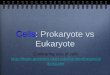 Cells: Prokaryote vs Eukaryote · 2013-09-23 · Prokaryotes Eukaryotes simple and easy to grow can specialize fast reproduction multicellularity all the same can build large bodies