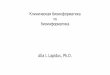 Клиническая биоинформатика vs биоинформатикаbioinformaticsinstitute.ru/sites/default/files/2507allalapidus.pdf · The greatest challenges -