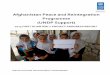 Afghanistan Peace and Reintegration Programme (UNDP Support) · 2016-02-03 · DONORS PROJECT INFORMATION Project ID: 00060777 (NIM) Duration: August 2010 – July 2015 ANDS Component:
