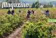 Magazine - Rutas del Vino de España · 2016-12-21 · 6 El vino está muy presente en todas nuestras localidades. Aunque la D.O. Cigales es tierra de vinos rosados también dispone
