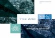 INVESTING IN THE FUTURE - twoshields.co.uk INVESTING IN THE FUTURE. Corporate Presentation 2018 Corporate Presentation 2018 DISCLAIMER The information contained in this document (the