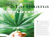 The Implications of Marijuana Implications of...Legalization to EMPLOYERS T he legalization of marijuana use creates intended and unintended consequences to society, as Colorado learned