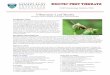 EXOTIC PEST THREATS - University Of Maryland...feeding larvae, a plant may initiate second growth only to be defoliated by adults feeding in summer. Defoliation 2 to 3 consecutive