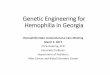 Genetic Engineering for Hemophilia in Georgia Genetic Engineering for Hemophilia in Georgia Hemophilia