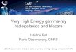 Very High Energy gamma-ray radiogalaxies and blazars · Next generation of VHE astronomy : the CTA project, open observatory - 10-fold increased sensitivity at TeV energies (mCrab)