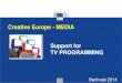 Creative Europe - MEDIA Support for TV PROGRAMMING · Creative Europe - MEDIA Berlinale 2014 . TELEVISION PROGRAMMING What kind of projects? Fiction Animation Documentary . TELEVISION