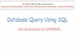 Database Query Using SQL - python4csip.compython4csip.com/files/download/Database Query Using SQL.pdf · Database Query Using SQL Lets do practical on DATABASE… VISIT python4csip.com