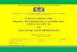 Curriculum for Basic Technician Certificate (NTA Level 4) in … · 2019-04-04 · Basic Technician Certificate (NTA Level 4) in Nursing and Midwifery ... Training and Education Centre