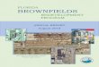 Florida Brownfields Development Program Annual Report ......Florida Brownfields Redevelopment Program, 2017-18 – Annual Report standards protective of human health and the environment