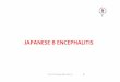 JAPANESE B ENCEPHALITIS - Vydehi Institute of Medical … · • Epidemics of encephalitis ‐ Japan from the late 1800s. • First isolated in Japan during an epidemic in 1935. •