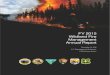 Fiscal Year 2015 Wildland Fire Management Annual Report...Independence Avenue, SW, Washington, D.C. 20250-9410 or call (202) 720-5964 (voice and TDD). USDA is an equal ... This report
