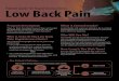 Patient Guide for Rapid Access Clinics - Low Back Pain · physiotherapist or chiropractor), with advanced training in low back pain diagnosis and management. If required, the Advanced