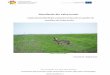 Mamiferele din Valea Ierului - Marshlandmarshland.ro/wp-content/uploads/2014/01/Mamiferele-din-Valea-Ierului-1.pdfmamifere au avut de suferit, sau chiar au disp ărut. Un alt val de