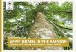 • WWF-BRASIL IN THE AMAZON • HUMAN WELL-BEING ......WWF-Brasil in the Amazon: human well-being and nature conservation – Page 1 2012 is the year of the Rio+20 conference. Governments