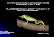 OS ANFÍBIOS DA MATA ATLÂNTICA DIVERSIDADE E O …os anfÍbios da mata atlÂntica: diversidade e o impacto das mudanÇas locais e globais atlantic forest amphibians: diversity and
