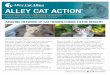 ALLEY CAT ACTION · 2020-02-05 · This year is a milestone for Alley Cat Allies–our 30th anniversary! Three decades ago, when I decided to save the lives of a group of cats in