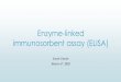 Enzyme-linked immunosorbent assay (ELISA)home.cc.umanitoba.ca/~perreau/Chem4590_2020/2020 Sarah...Direct ELISA Target antigen is immobilized on solid phase Primary antibody/antigen