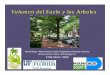 Volumen del Suelo y los Arboles - UF/IFAS Extension...0 to 3 m 2 (0 to 39 ft2) Street trees, Parking lots, Yards 73% survival 91% survival Yards, Parks 4 to 7 m (40 to 75 ft2) > 7