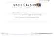 ENTSO-E WORK PROGRAMME...ENTSO-E is the association representing European Transmission System Operators (TSOs) and has been formally established under Regulation 714/2009, which defines