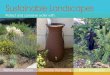 Sustainable Landscapes - San Diego · A water-efficient landscape and irrigation system can reduce outdoor water use and minimize the amount of urban runoff that enters the storm